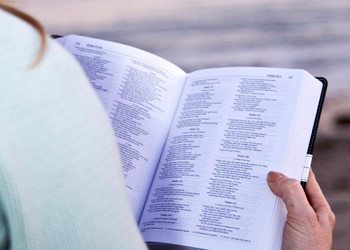 Approaching the word of God in the New Testament IMAGE